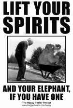 Haga click para ver la imagen ampliada levanta el animo y tu elefante.jpg